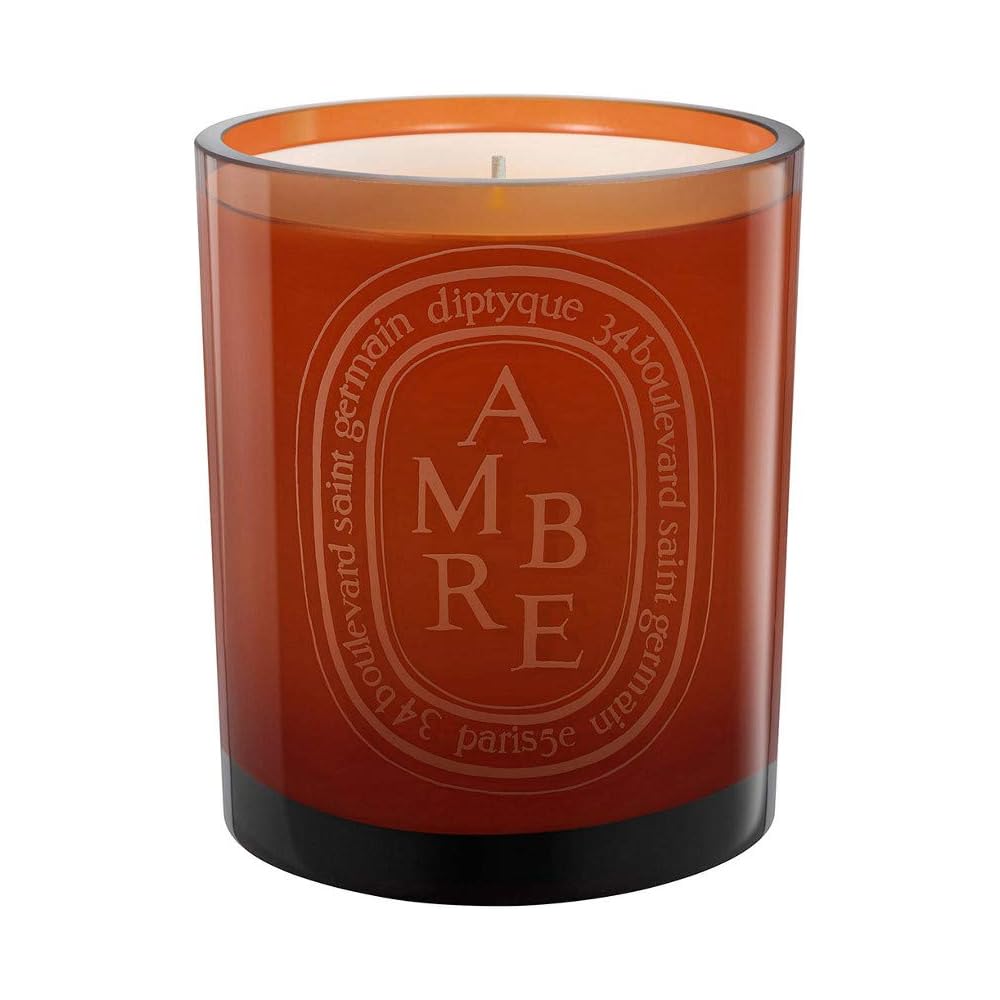 : Diptyque Ambre Scented Candle, 10.2 Ounce (187856) : Health & Household