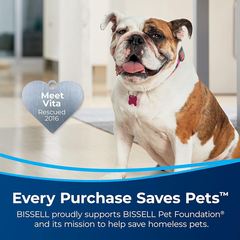 - Bissell Little Green Pro Portable Carpet & Upholstery Cleaner and Car/Auto Detailer with Deep Stain Tool, 3