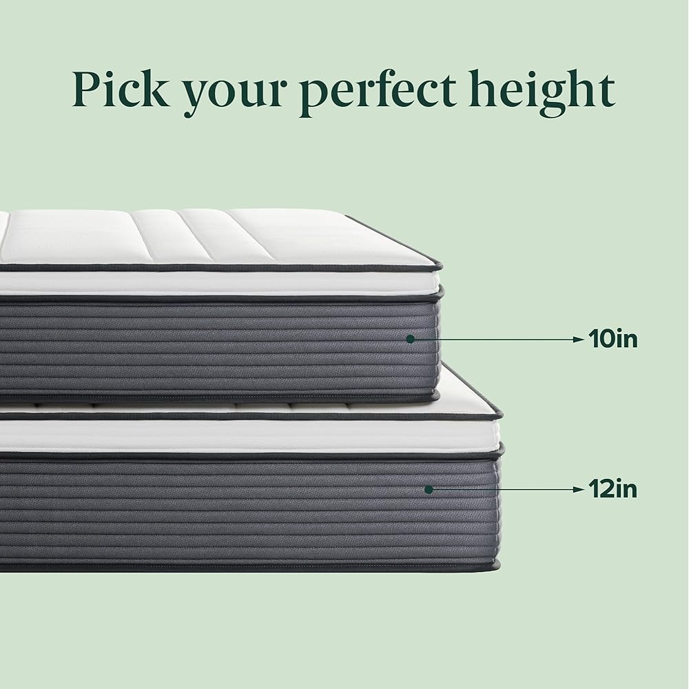 ZINUS 10 Inch True Support Hybrid Mattress [New Version], Queen, Fiberglass Free, Medium Feel, Motion Isolation, Certified Safe Foams & Fabric, Mattress in A Box : Home & Kitchen