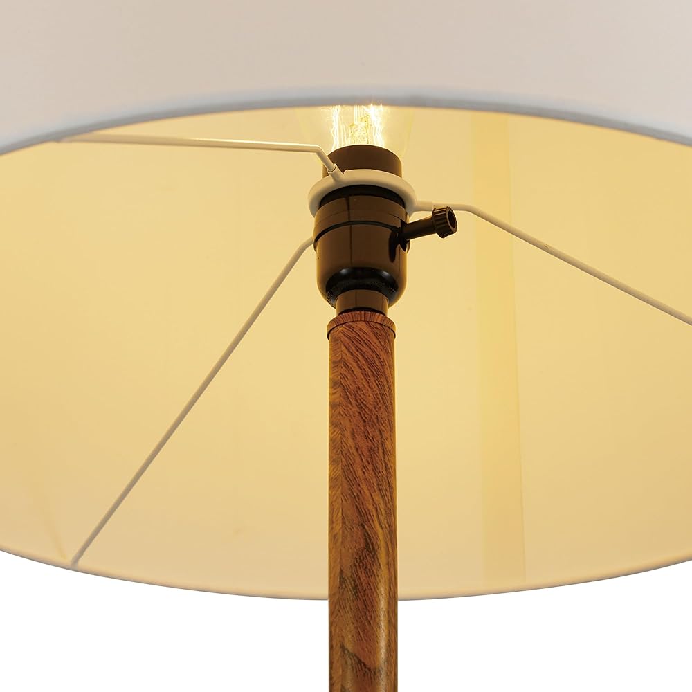 GLOBE Electric Novogratz x Harrington 65