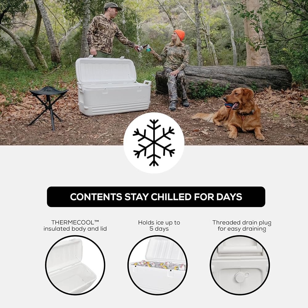 : Igloo Polar 120 Qt. Cooler : Sports & Outdoors