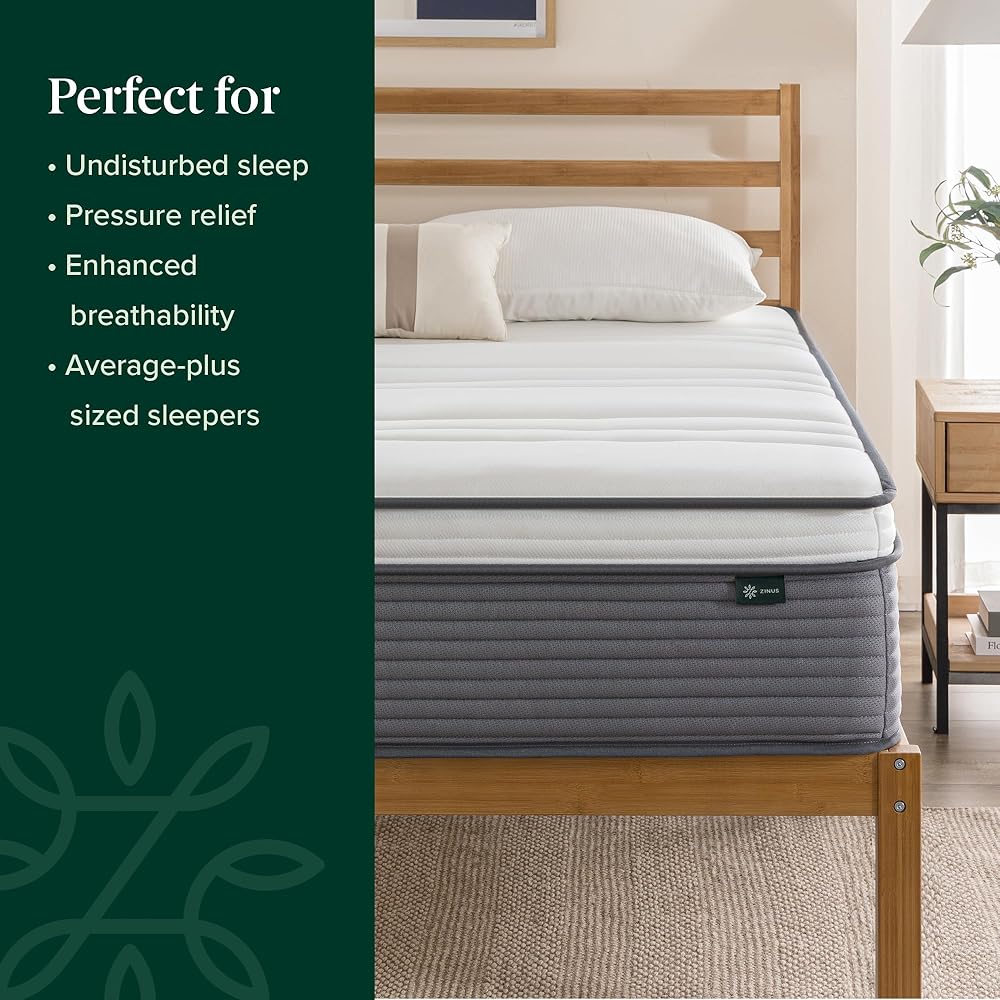 ZINUS 10 Inch True Support Hybrid Mattress [New Version], Queen, Fiberglass Free, Medium Feel, Motion Isolation, Certified Safe Foams & Fabric, Mattress in A Box : Home & Kitchen