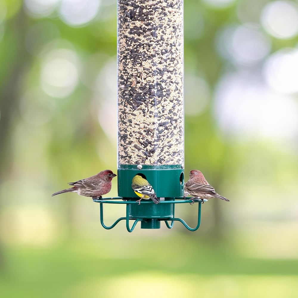 Droll Yankees Squirrel Proof Bird Feeders for Outdoors - Flipper, Collapsible Perches, 5-Pound Seed Capacity, Blue : Pet Supplies