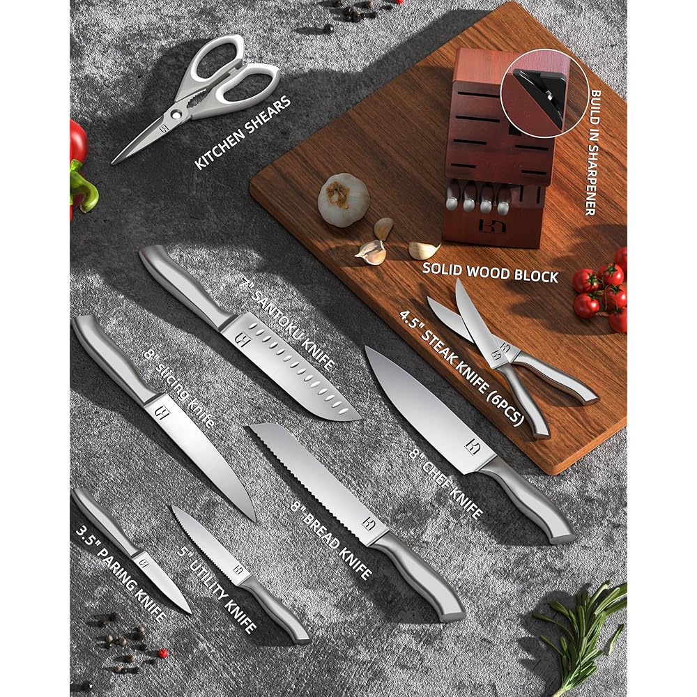 KnifeSaga Kitchen Knife Block Set, Enduring Sharpness Premium Knife Set with Block, 14 Pcs Japanese High Carbon Stainless Steel Knives Set for Kitchen, Chef Knife Set with Block and Built in Sharpener: Home & Kitchen