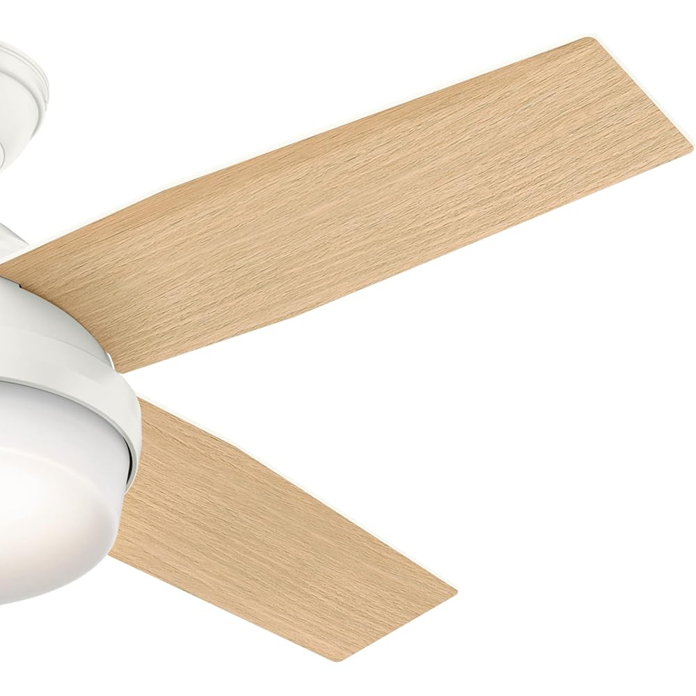 Hunter 59246 Dempsey Ceiling Fan 44 inches Fresh White -