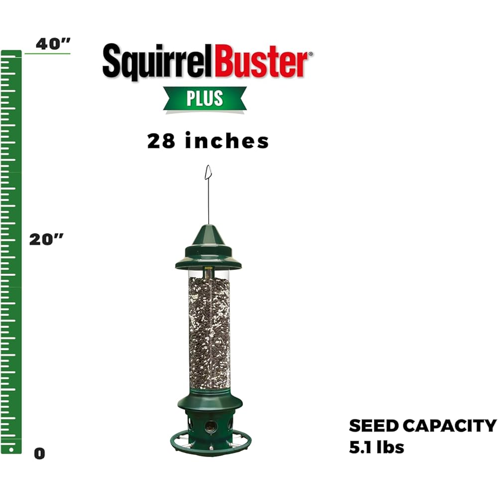 : Squirrel Buster Plus Squirrel-proof Bird Feeder w/Cardinal Ring and 6 Feeding Ports, 5.1-pound Seed Capacity, Adjustable, Pole-mountable (POLE ADAPTOR SOLD SEPARATELY), Green : Patio, Lawn & Garden