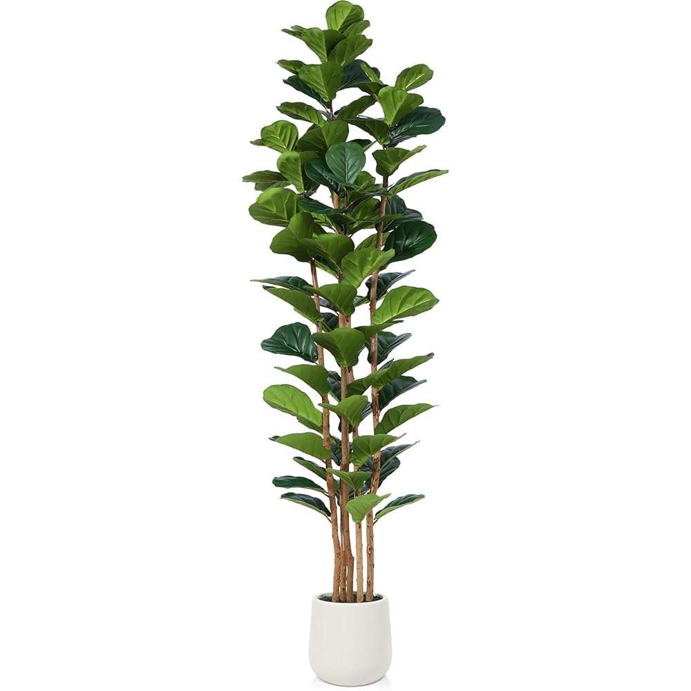 OAKRED Artificial Fiddle Leaf Fig Tree with White Planter, 7ft Tall Fake Tree with Natural Wood Trunk for Home Decor, Faux Ficus Tree Fake Moss for Indoor Office Living Room : Home & Kitchen