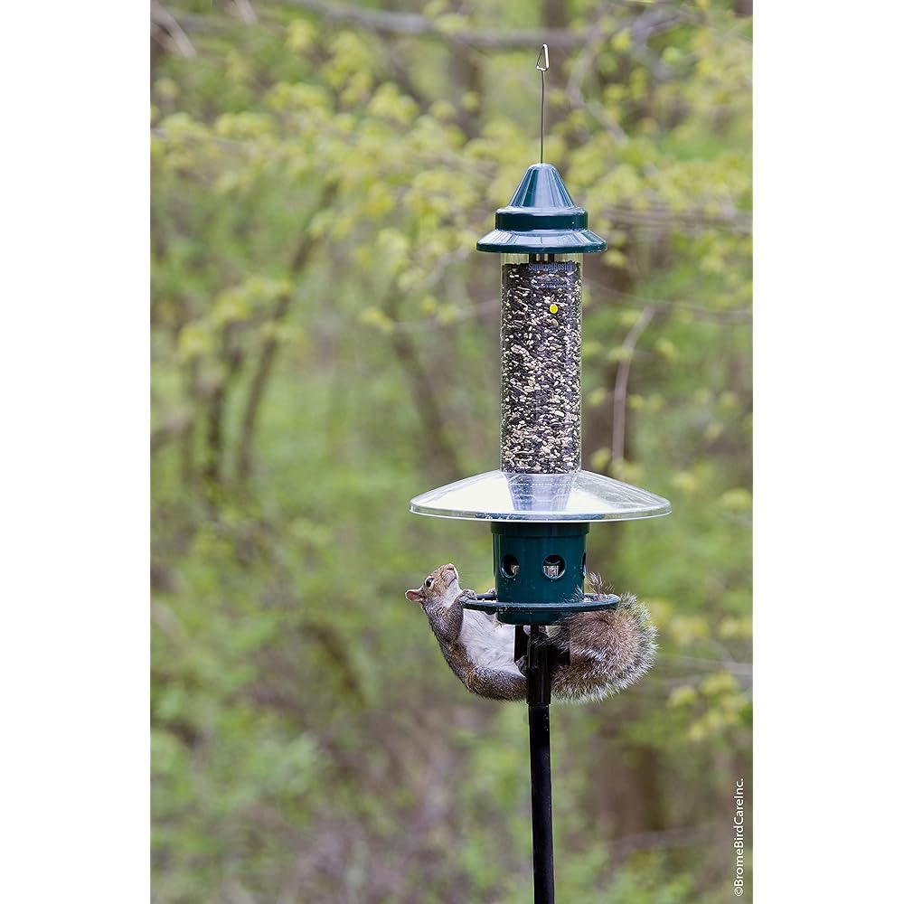 : Squirrel Buster Plus Squirrel-proof Bird Feeder w/Cardinal Ring and 6 Feeding Ports, 5.1-pound Seed Capacity, Adjustable, Pole-mountable (POLE ADAPTOR SOLD SEPARATELY), Green : Patio, Lawn & Garden
