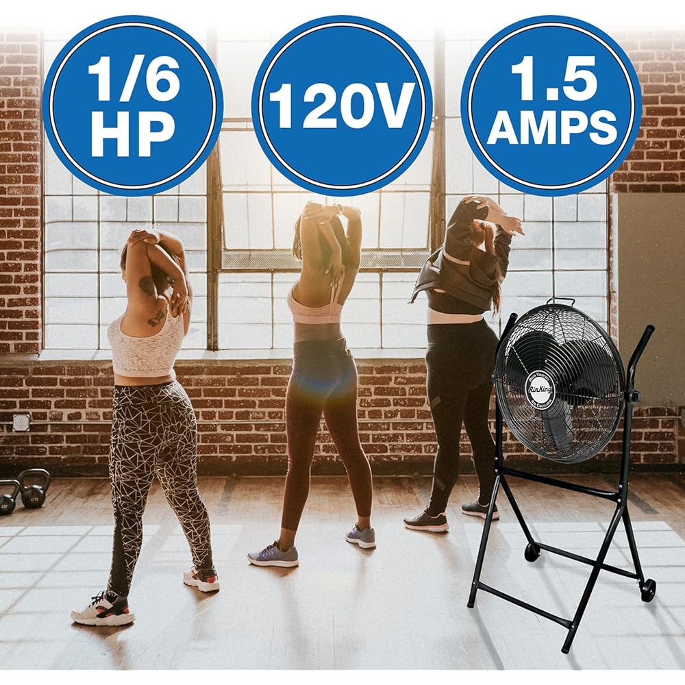 Air King 9219 18-Inch Industrial Grade High Velocity Roll-About Stand with Fan,Black : Home & Kitchen