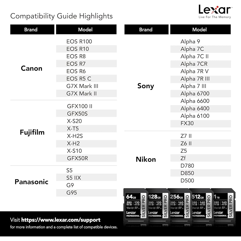 Lexar 256GB (2-PK) Professional SILVER PRO SD Card, UHS-II, C10, U3, V60, Full HD, 4K, Up To 280MB/s Read SDXC Memory Card, for Professional Photographer, Videographer, Enthusiast (LSDSIPR256G-B2NNU) : Health & Household