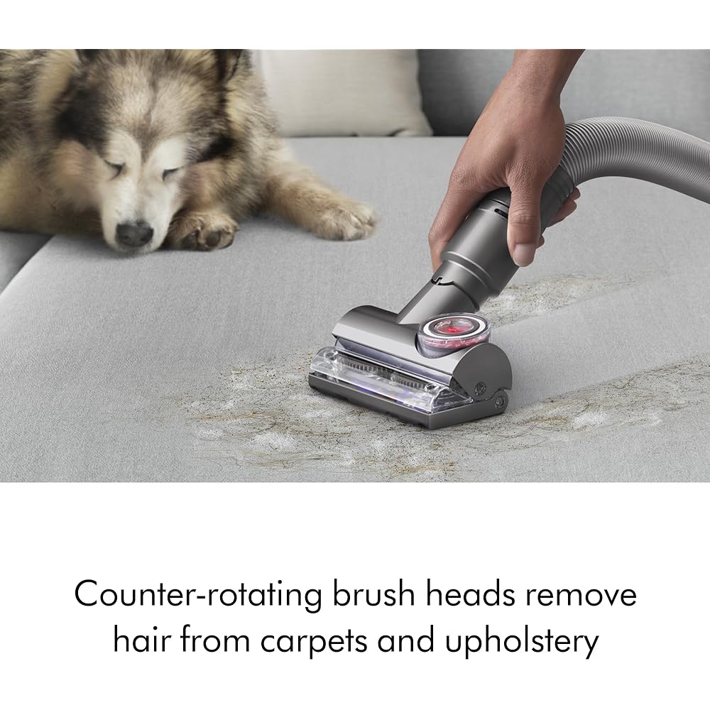 - Dyson Ball Animal 3+ (Renewed Premium)