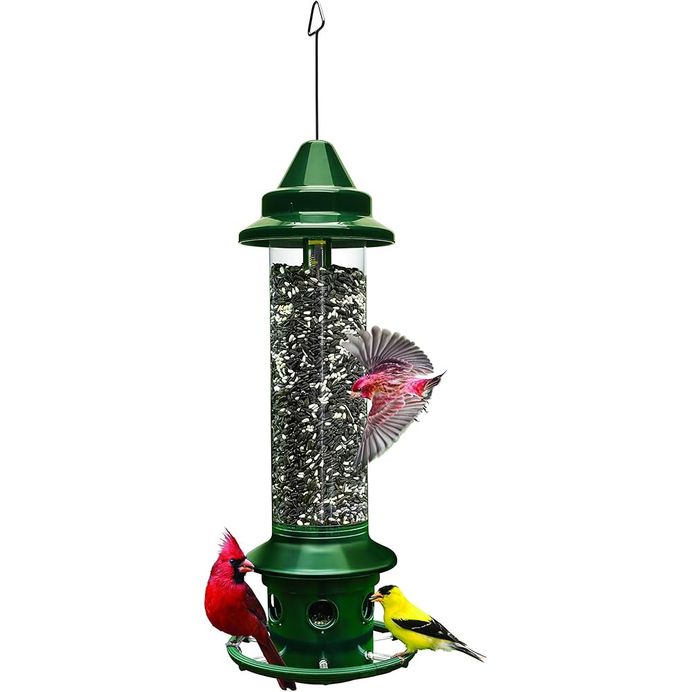 : Squirrel Buster Plus Squirrel-proof Bird Feeder w/Cardinal Ring and 6 Feeding Ports, 5.1-pound Seed Capacity, Adjustable, Pole-mountable (POLE ADAPTOR SOLD SEPARATELY), Green : Patio, Lawn & Garden