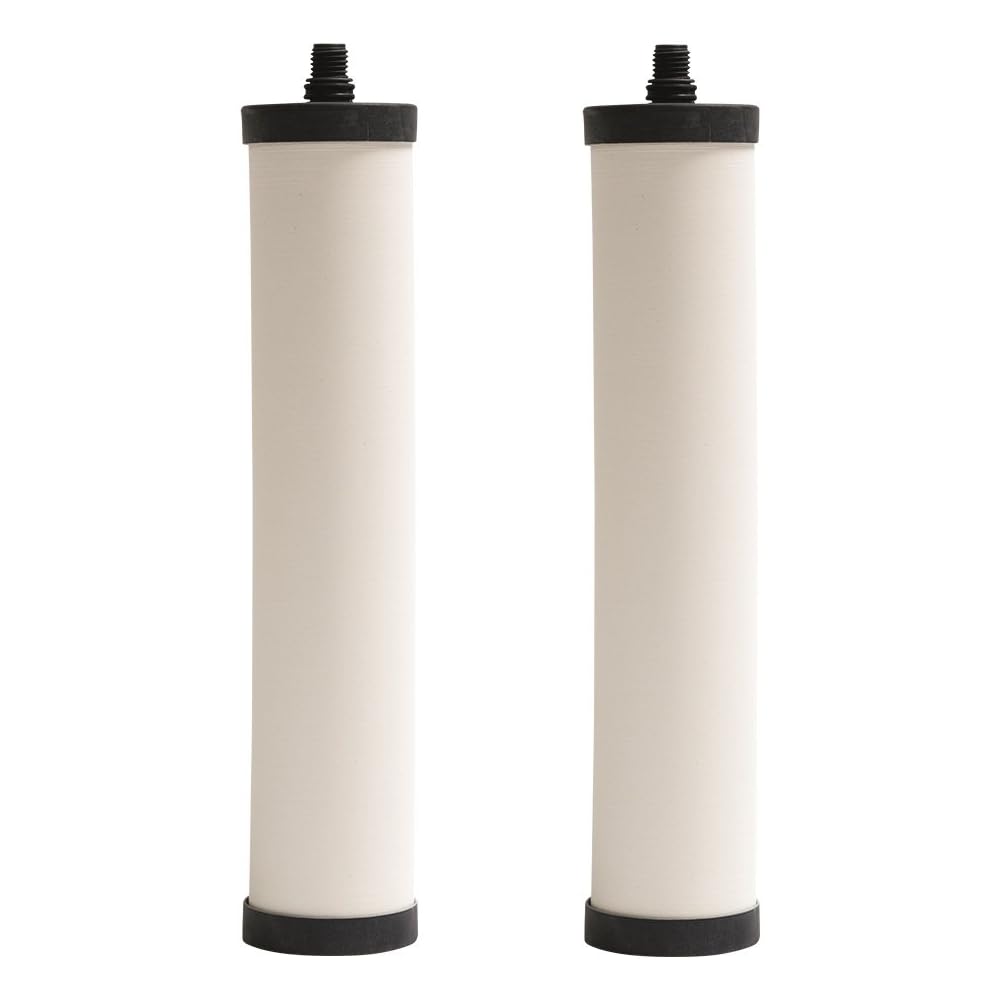 Franke FRC06-2PK Cartridge, 2 Count (Pack of 1), White -
