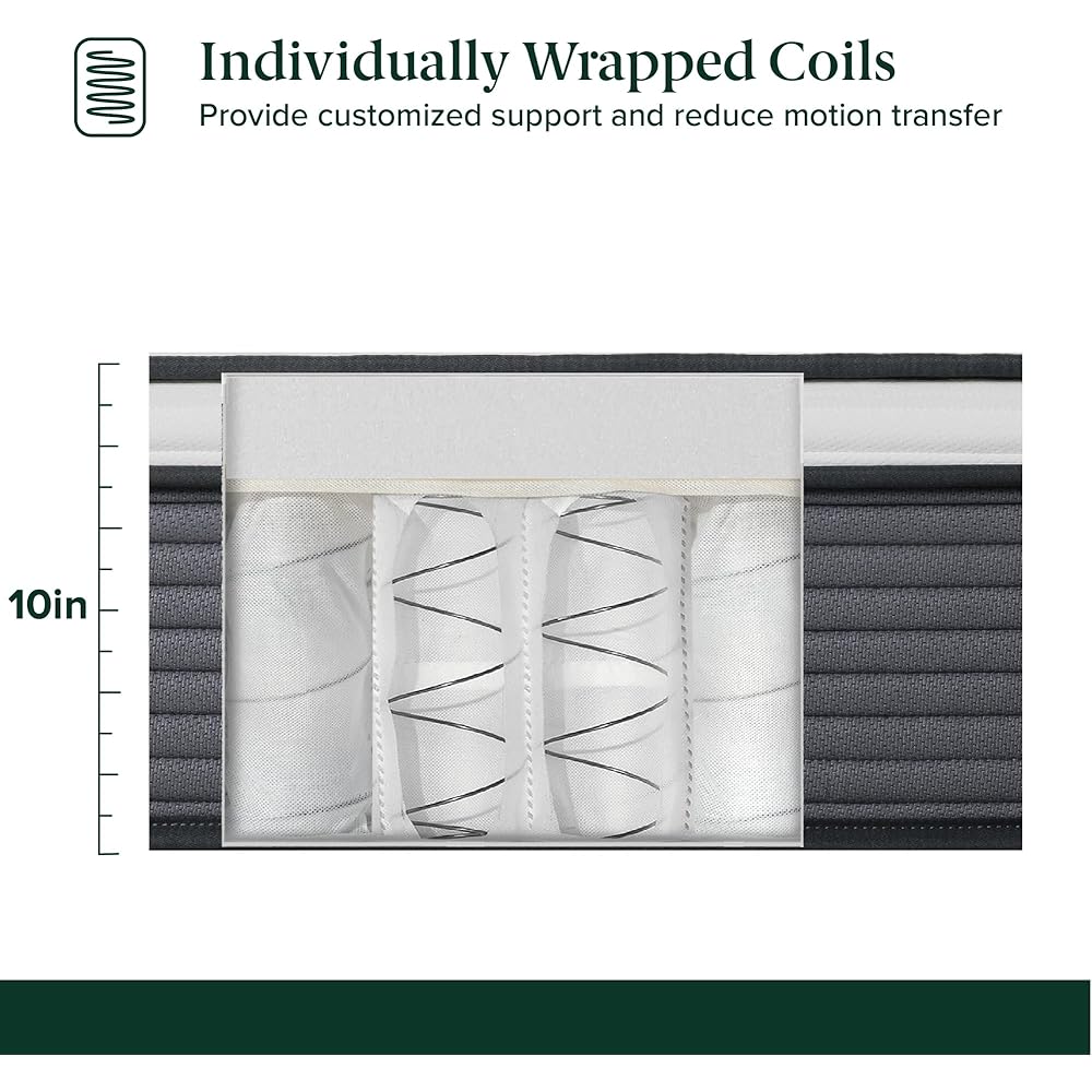 ZINUS 10 Inch True Support Hybrid Mattress [New Version], Queen, Fiberglass Free, Medium Feel, Motion Isolation, Certified Safe Foams & Fabric, Mattress in A Box : Home & Kitchen