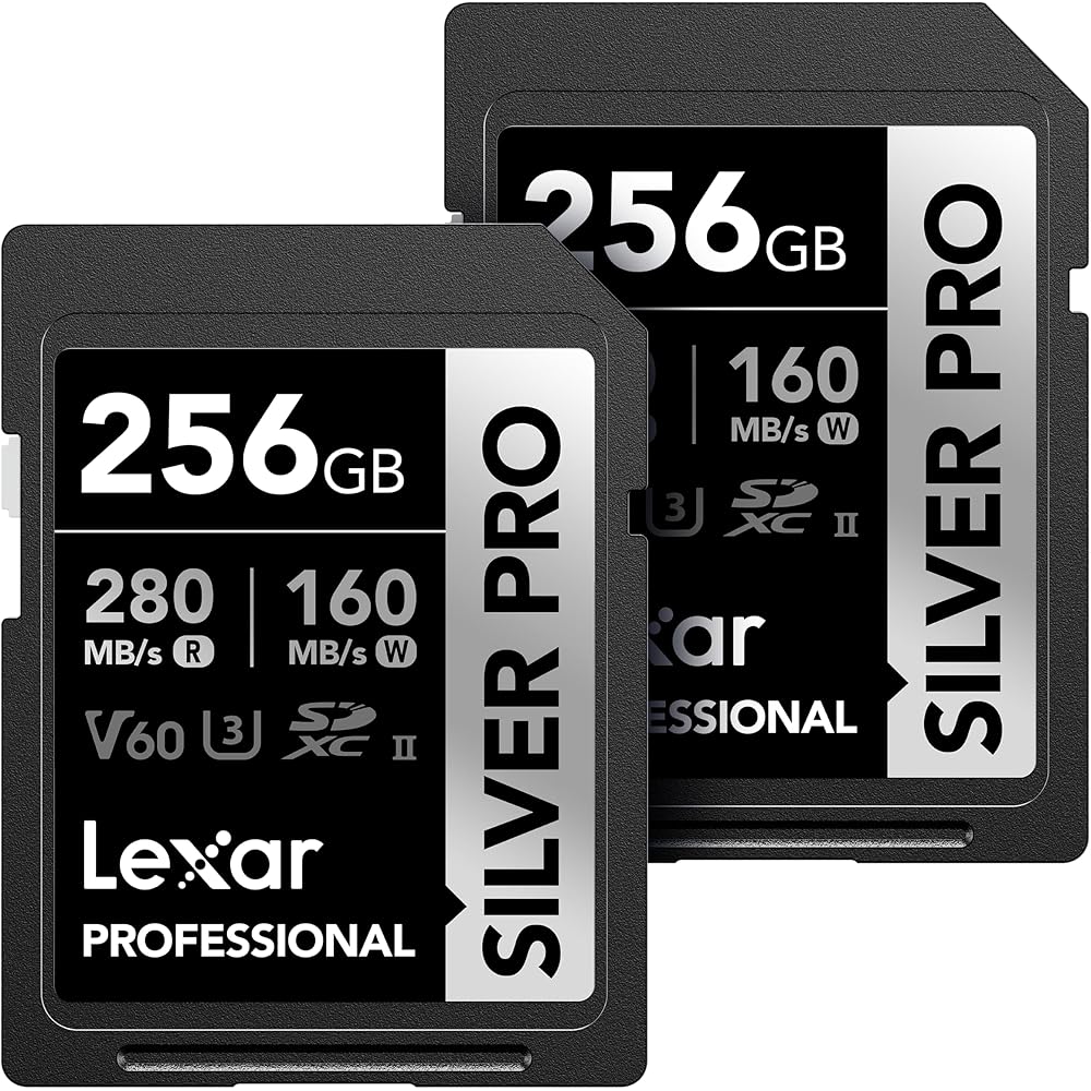 Lexar 256GB (2-PK) Professional SILVER PRO SD Card, UHS-II, C10, U3, V60, Full HD, 4K, Up To 280MB/s Read SDXC Memory Card, for Professional Photographer, Videographer, Enthusiast (LSDSIPR256G-B2NNU) : Health & Household