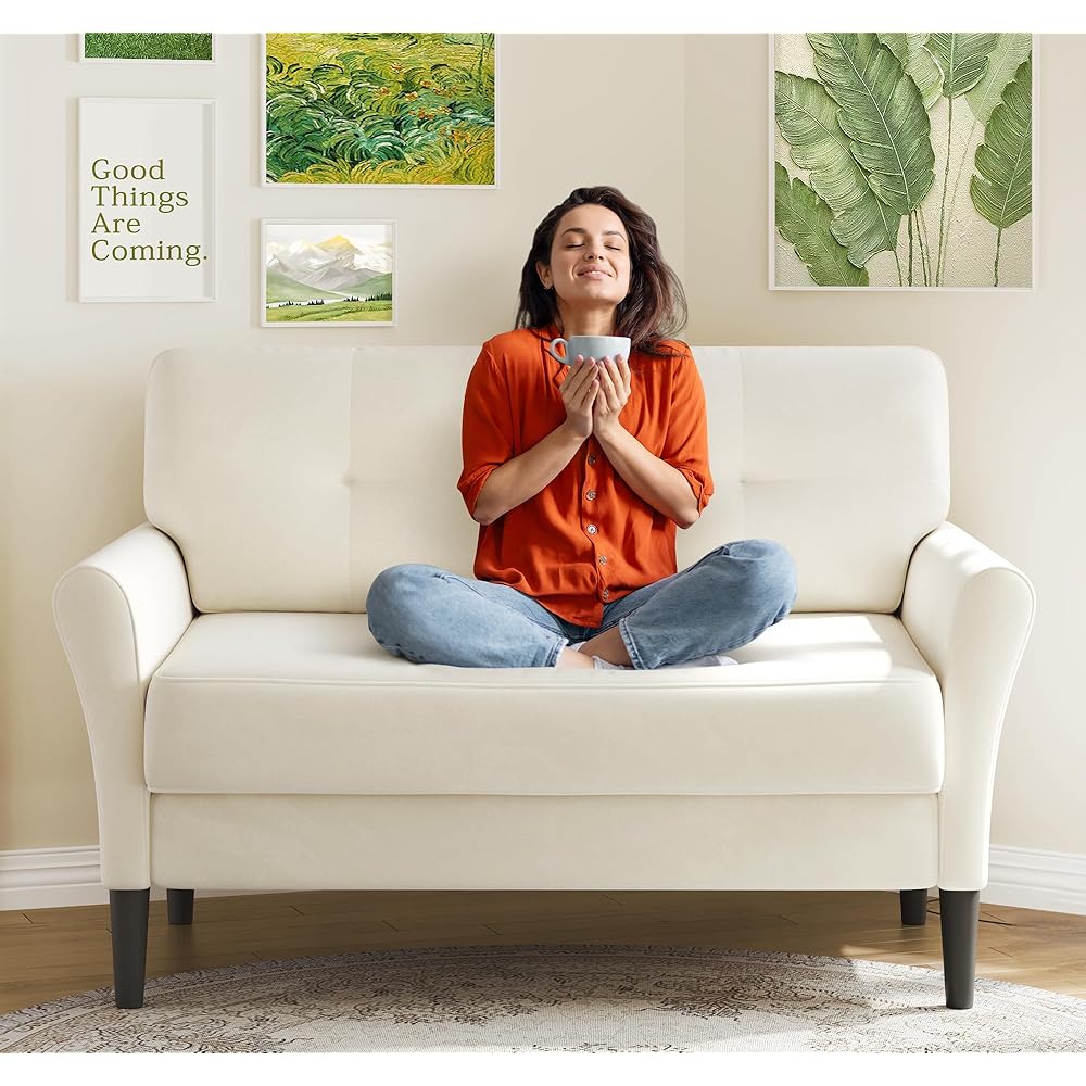 Small Sofa Couch, 48