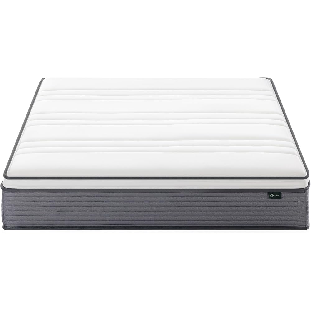 ZINUS 10 Inch True Support Hybrid Mattress [New Version], Queen, Fiberglass Free, Medium Feel, Motion Isolation, Certified Safe Foams & Fabric, Mattress in A Box : Home & Kitchen