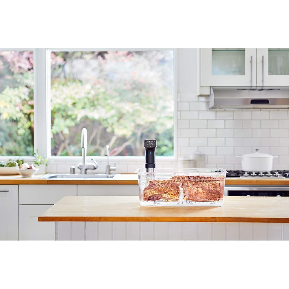 Anova Culinary Sous Vide Precision Cooker Pro, 1200 Watts, Black and Silver : Home & Kitchen