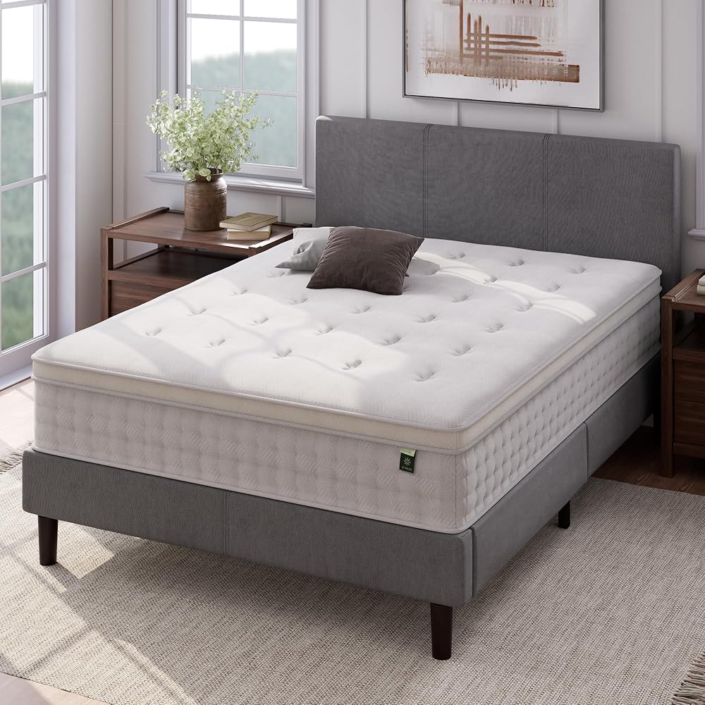ZINUS 12 Inch Euro Top Pocket Spring Hybrid Mattress, Queen, Pressure Relief, Pocket Innersprings for Motion Isolation, Mattress in A Box : Home & Kitchen