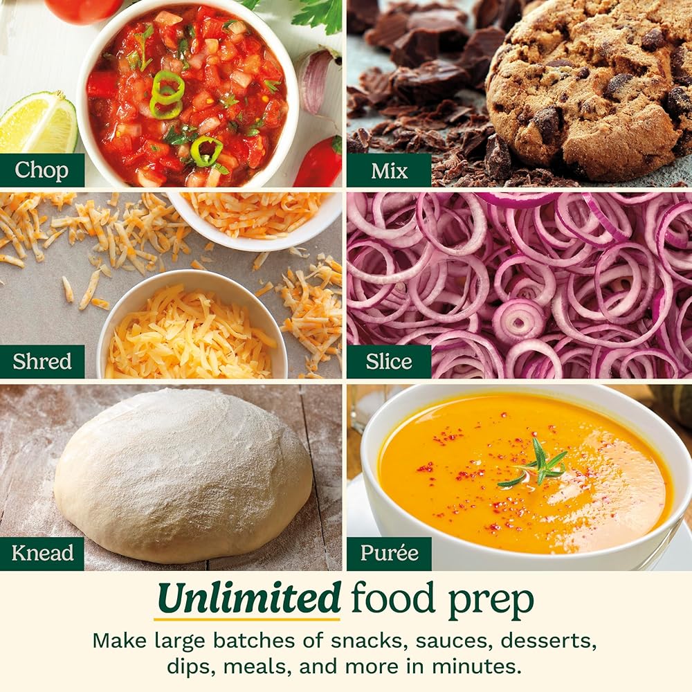 Cuisinart 9-Cup Continuous Feed Food Processor with Fine and Medium Reversible Shredding and Slicing Disc, Universal Blade, Continuous-Feed Attachment, and In-Bowl Storage (White): Home & Kitchen