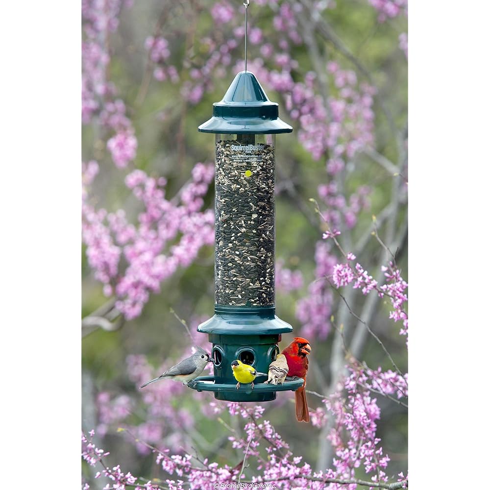 : Squirrel Buster Plus Squirrel-proof Bird Feeder w/Cardinal Ring and 6 Feeding Ports, 5.1-pound Seed Capacity, Adjustable, Pole-mountable (POLE ADAPTOR SOLD SEPARATELY), Green : Patio, Lawn & Garden