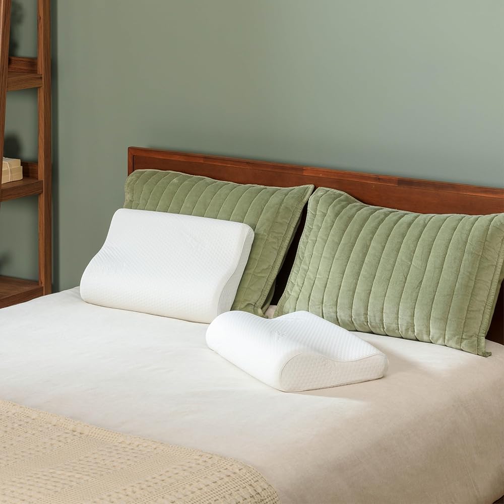 Tempur-Pedic TEMPUR-Ergo Neck Pillow, Medium Profile, White : Home & Kitchen