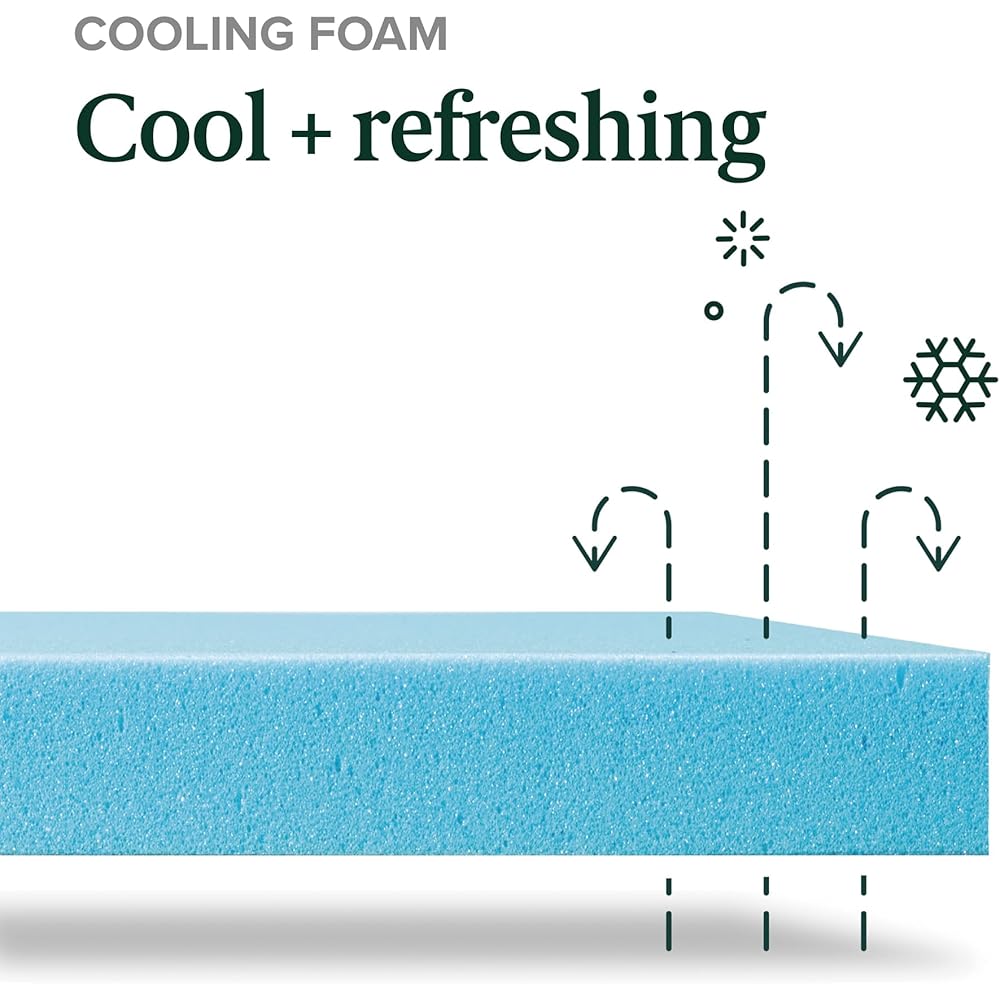 ZINUS 10 Inch Green Tea Cooling Memory Foam Mattress [New Version], Queen, Fiberglass Free, Medium Firmness, Cooling Gel Foam, Certified Safe Foams & Fabric, Mattress in A Box : Home & Kitchen