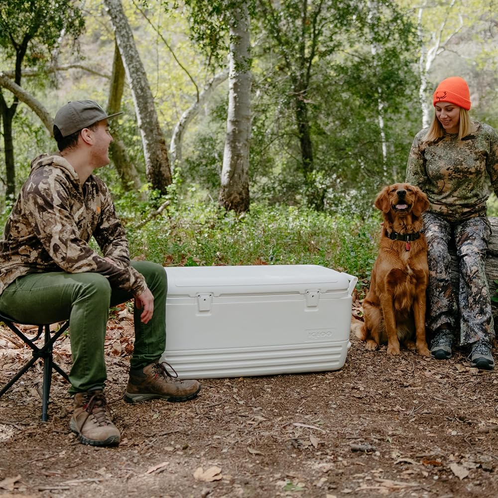 : Igloo Polar 120 Qt. Cooler : Sports & Outdoors