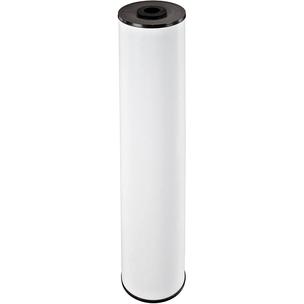 Pentair Pentek RFFE20-BB Big Blue Water Filter, 20-Inch, Whole House Radial Flow Iron Reduction Replacement Cartridge, 20