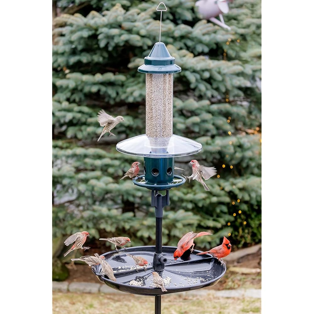 : Squirrel Buster Plus Squirrel-proof Bird Feeder w/Cardinal Ring and 6 Feeding Ports, 5.1-pound Seed Capacity, Adjustable, Pole-mountable (POLE ADAPTOR SOLD SEPARATELY), Green : Patio, Lawn & Garden