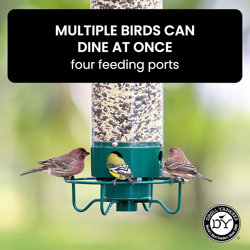 Droll Yankees Squirrel Proof Bird Feeders for Outdoors - Flipper, Collapsible Perches, 5-Pound Seed Capacity, Blue : Pet Supplies
