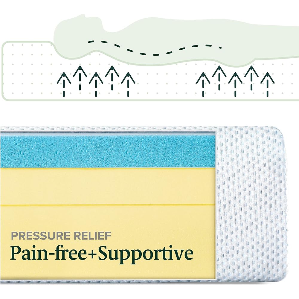 ZINUS 10 Inch Green Tea Cooling Memory Foam Mattress [New Version], Queen, Fiberglass Free, Medium Firmness, Cooling Gel Foam, Certified Safe Foams & Fabric, Mattress in A Box : Home & Kitchen