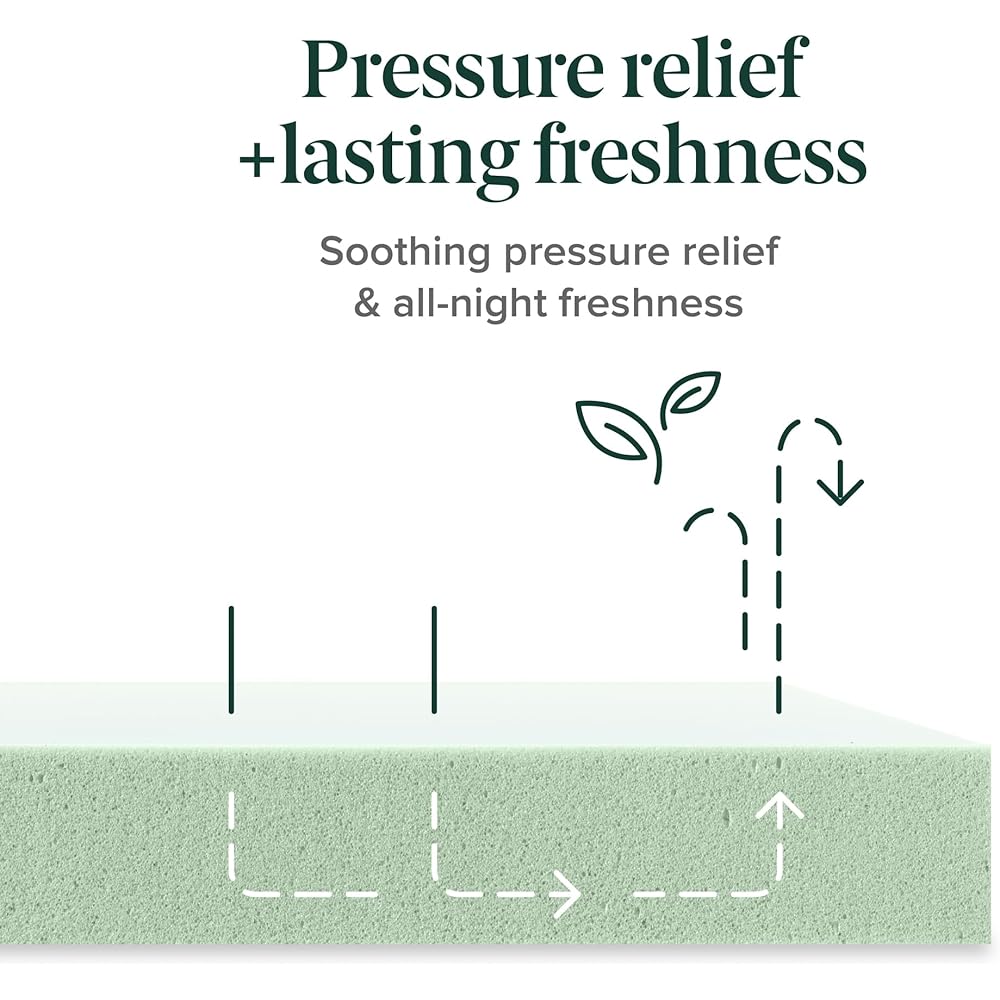 ZINUS 8 Inch Ultima RV Memory Foam Mattress [New Version], Short Queen, Fiberglass Free, Medium Firm Feel, Breathable Memory Foam, Certified Safe Foams & Fabric, Mattress in A Box : Home & Kitchen