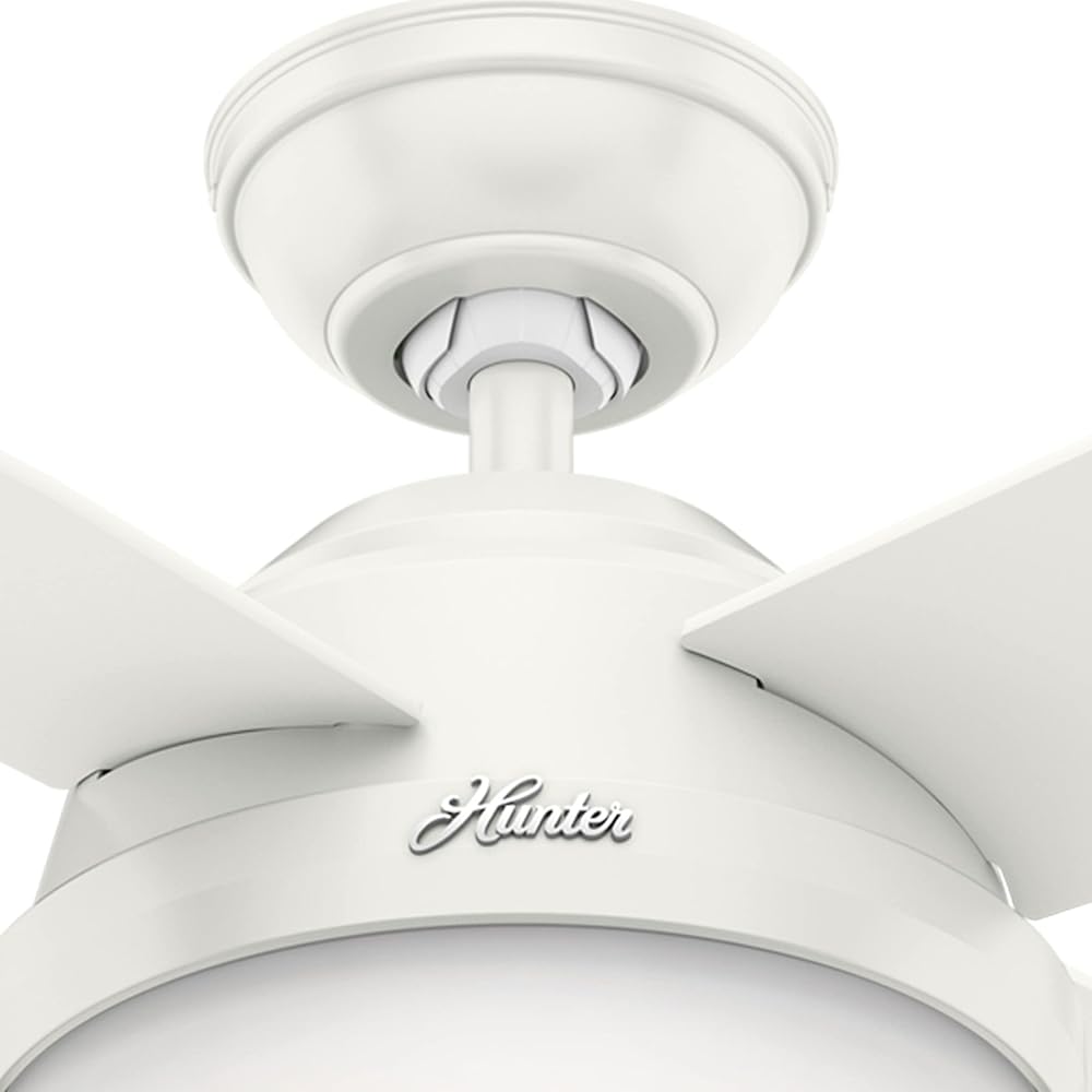 Hunter 59246 Dempsey Ceiling Fan 44 inches Fresh White -