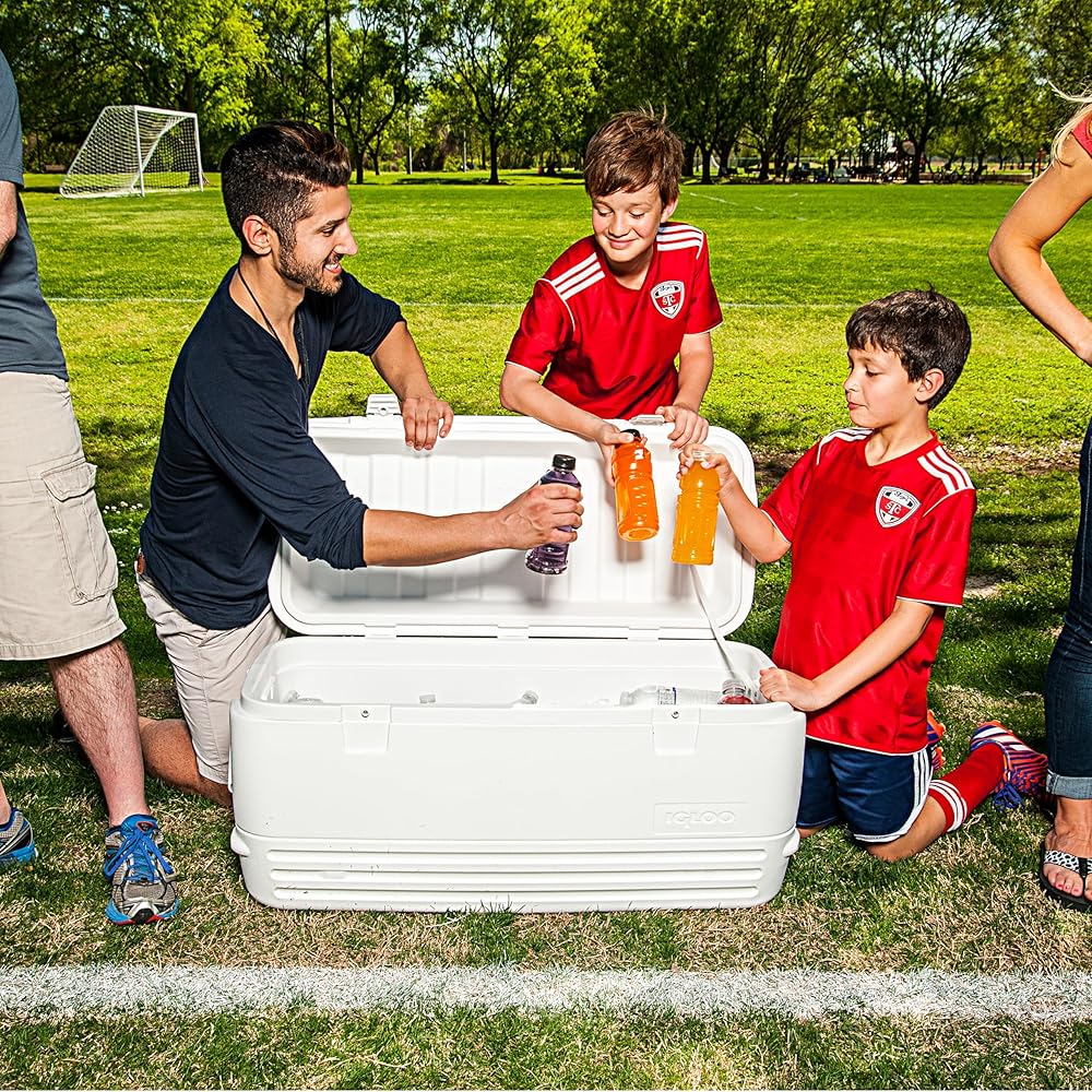 : Igloo Polar 120 Qt. Cooler : Sports & Outdoors