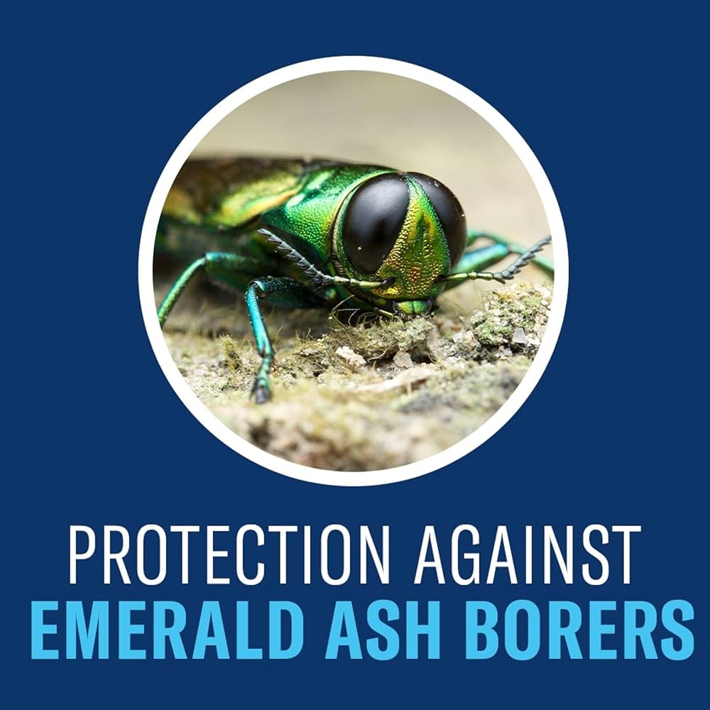 BioAdvanced 12 Month Tree and Shrub Insect Control Landscape Formula, Concentrate, 1 Gal