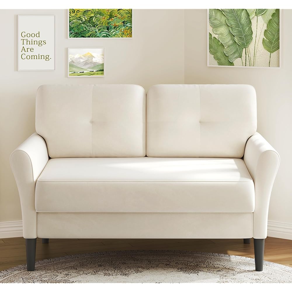 Small Sofa Couch, 48