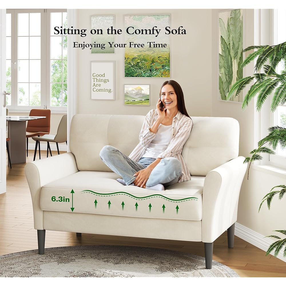 Small Sofa Couch, 48