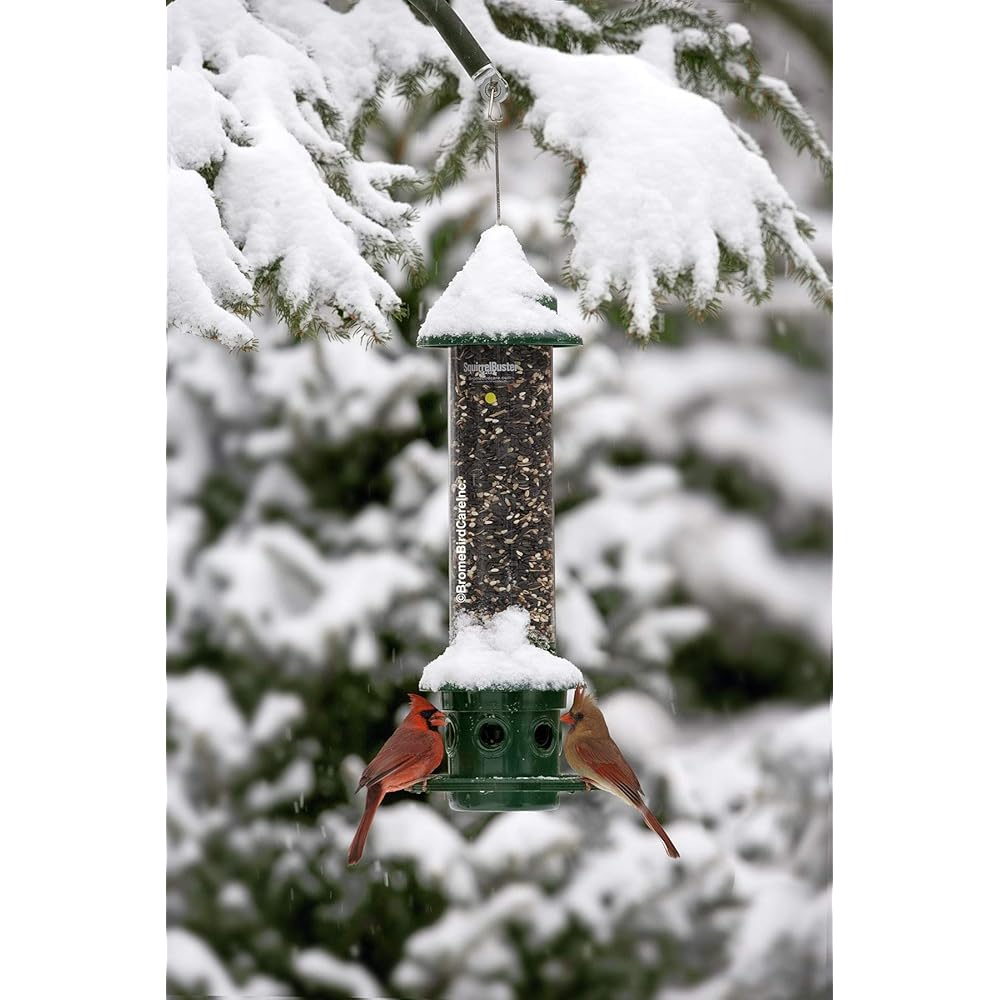 : Squirrel Buster Plus Squirrel-proof Bird Feeder w/Cardinal Ring and 6 Feeding Ports, 5.1-pound Seed Capacity, Adjustable, Pole-mountable (POLE ADAPTOR SOLD SEPARATELY), Green : Patio, Lawn & Garden