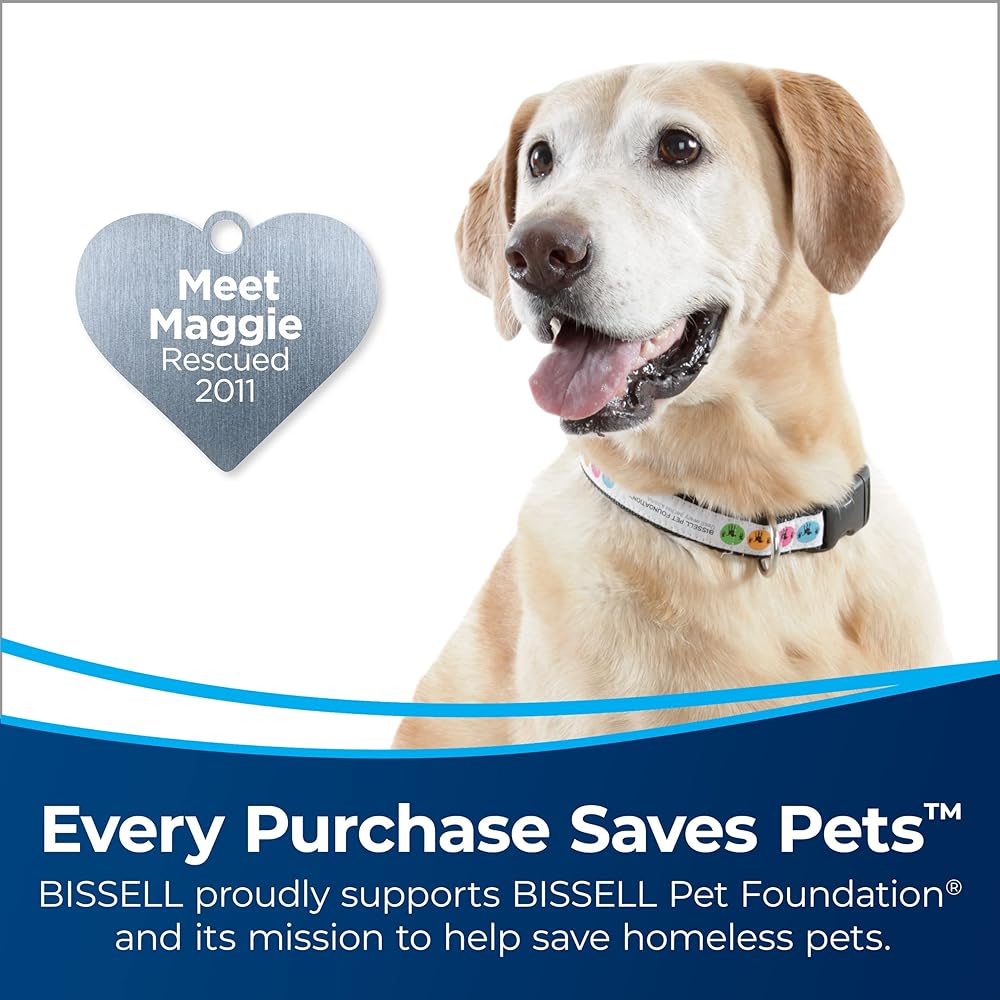 - Bissell CleanView Rewind Upright Bagless Vacuum with Automatic Cord Rewind & Active Wand, 3534