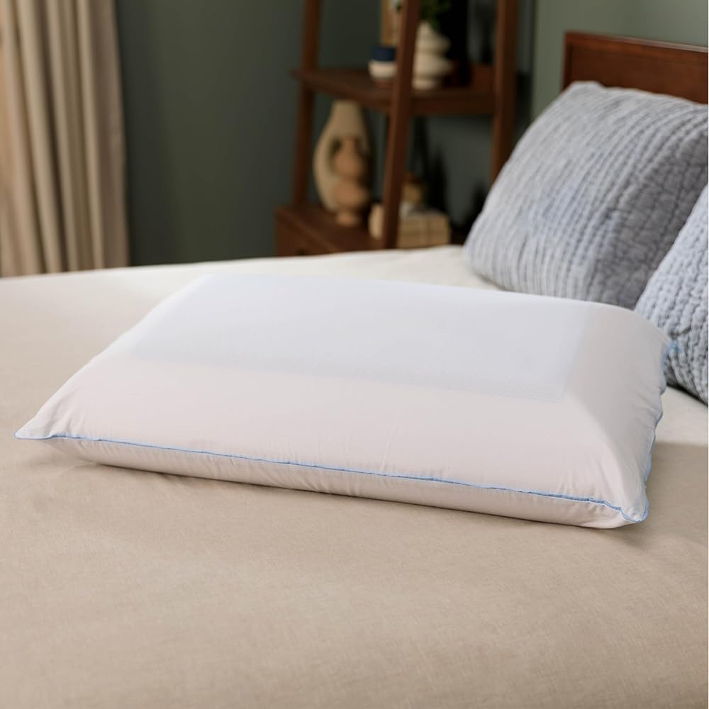 Tempur-Pedic TEMPUR-Cloud Dual Cooling Pillow, Queen, White : Home & Kitchen