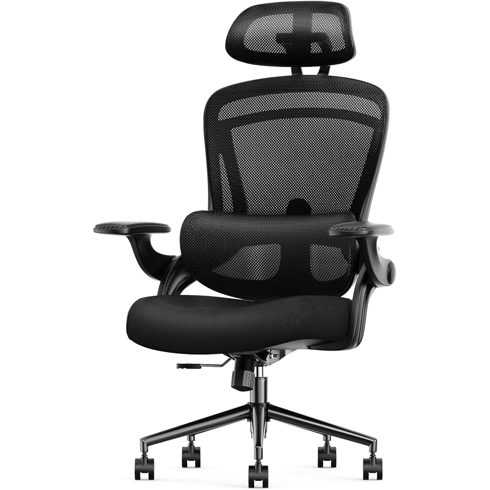 Sweetcrispy Ergonomic High Back Office Chair with 2D Headrest, Up&Down Lumbar Support, Swivel Computer Task Mesh Desk Chairs with Adjustable Flip-up Armrests, Classic Black : Home & Kitchen