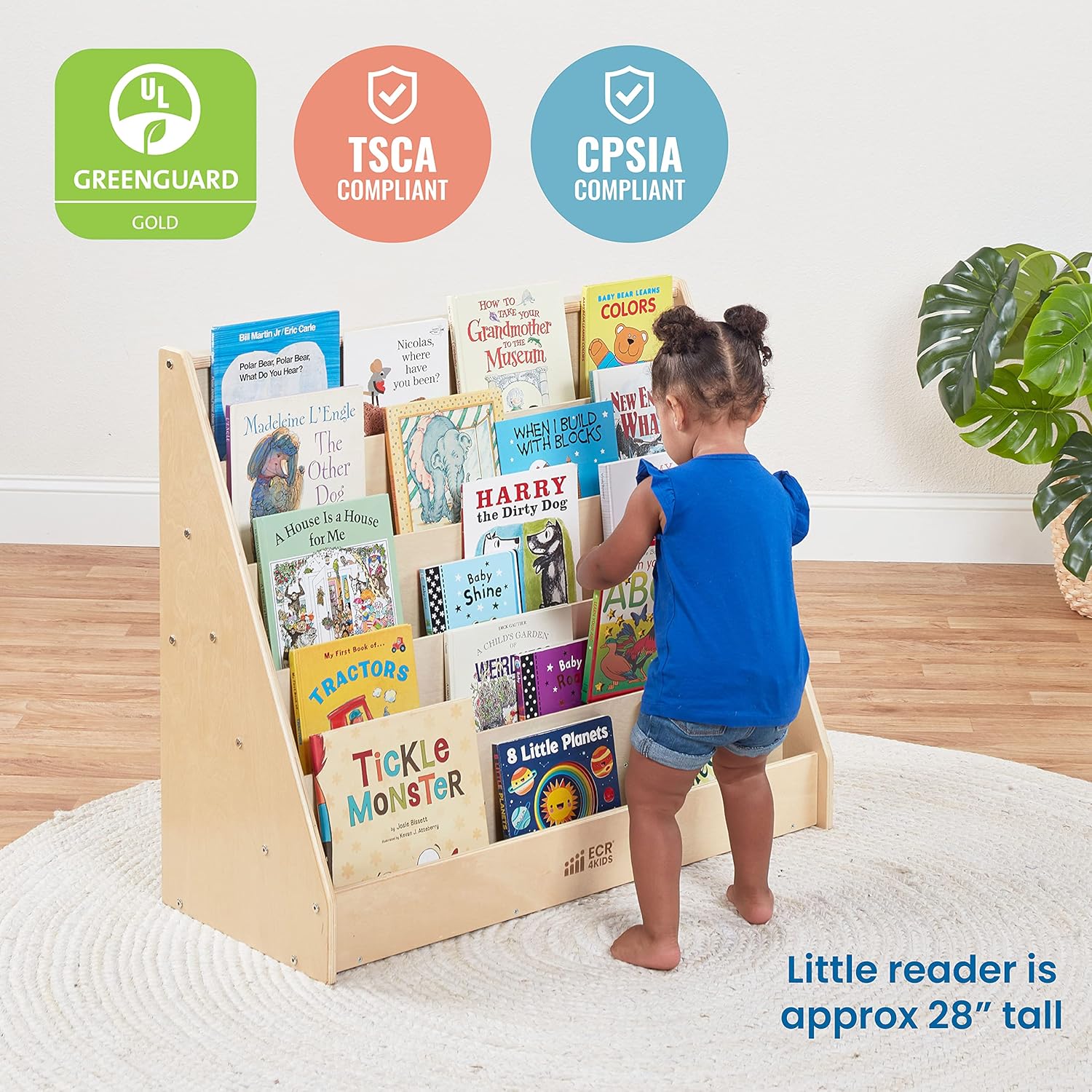 ECR4Kids Single-Sided Book Display, Classroom Bookshelf, Natural : Office Products