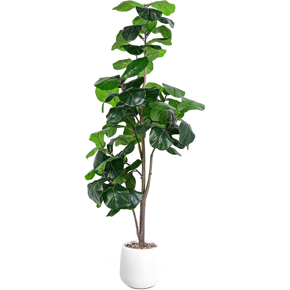 Jocoevol Artificial Fiddle Leaf Tree, 6ft Faux Plant Fake Ficus Lyrata Trees with White Planter, Artificial Fig Trees Floor Plants for House Office Living Room Indoor Home Decor, Housewarming Gift : Home & Kitchen