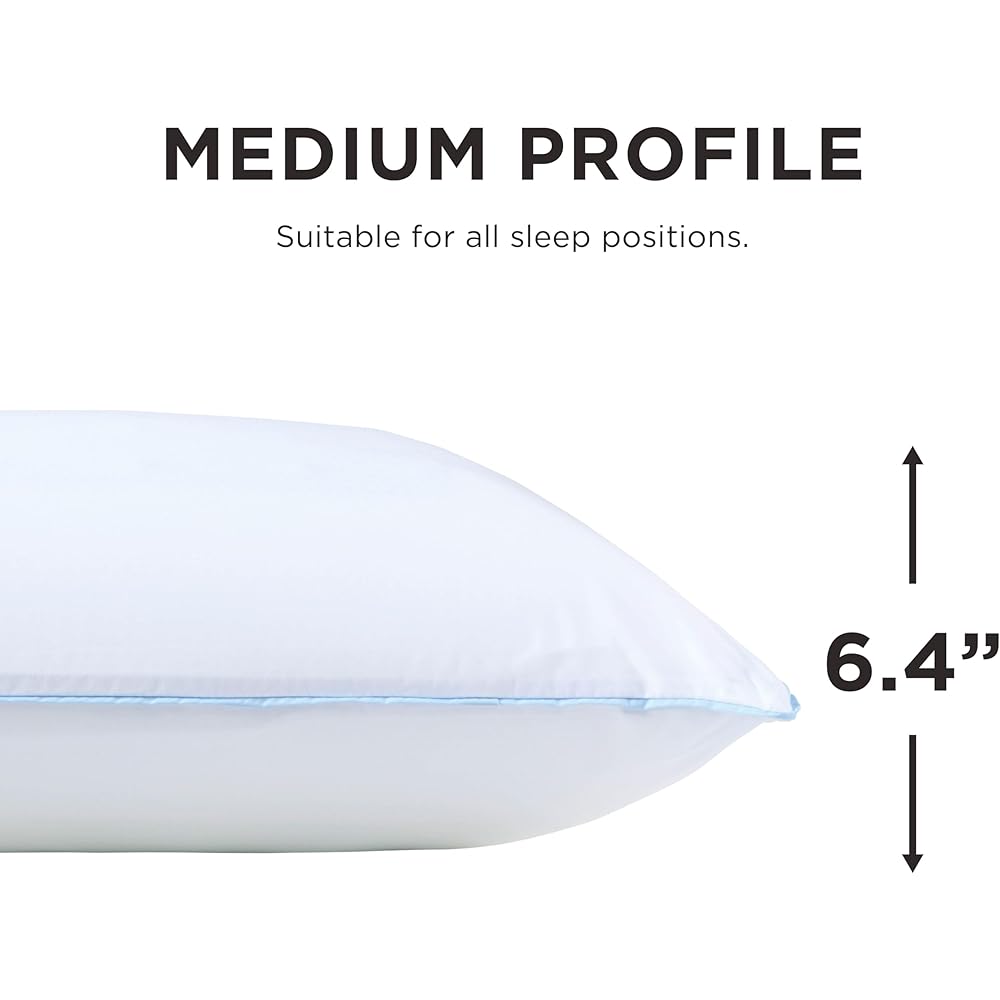 Tempur-Pedic TEMPUR-Cloud Dual Cooling Pillow, Queen, White : Home & Kitchen