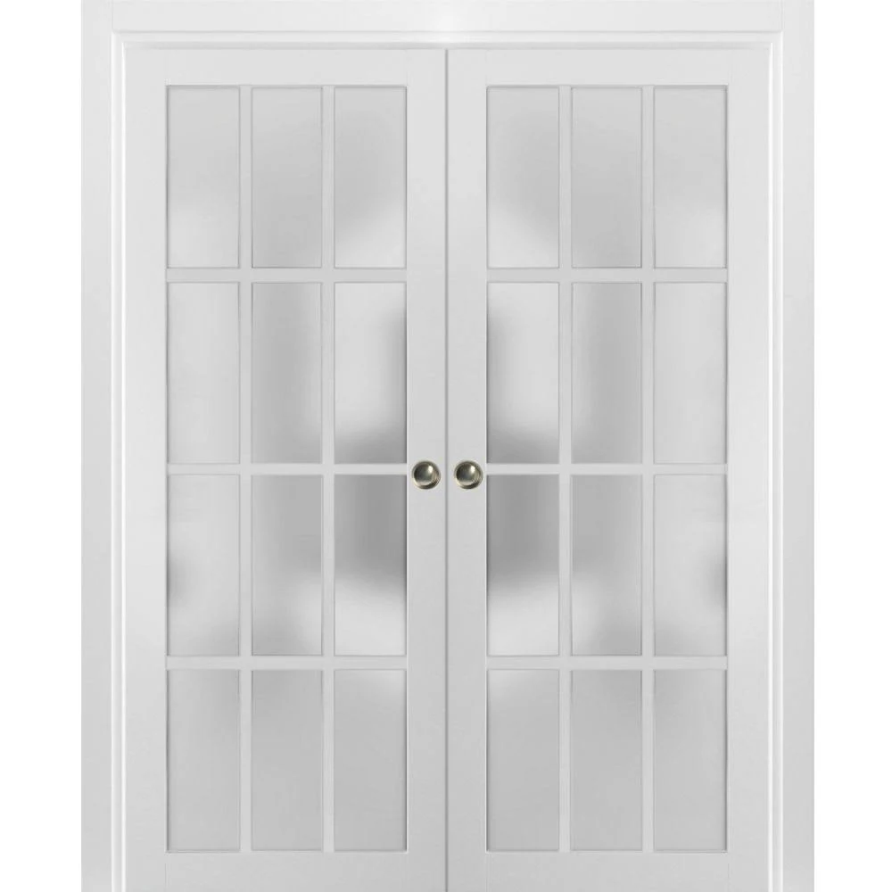 Quadro Glass Standard Door SARTODOORS Size: 28x22 x 84x22
