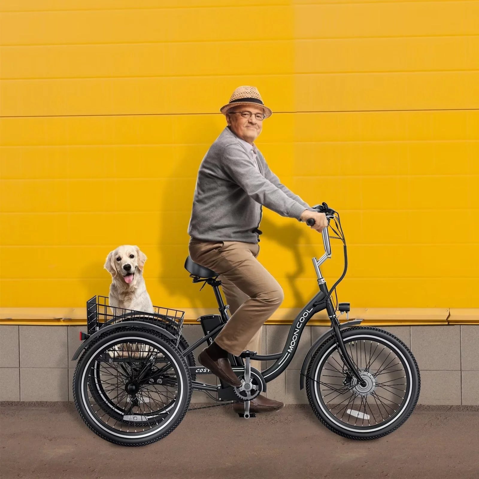 Lilypelle Electric Tricycle for Adults, 350W 36V Electric Trike Motorized Three Wheel Electric Bicycle, 7 Speeds 3 Wheels Adult Electric Tricycle with Large Basket,Black