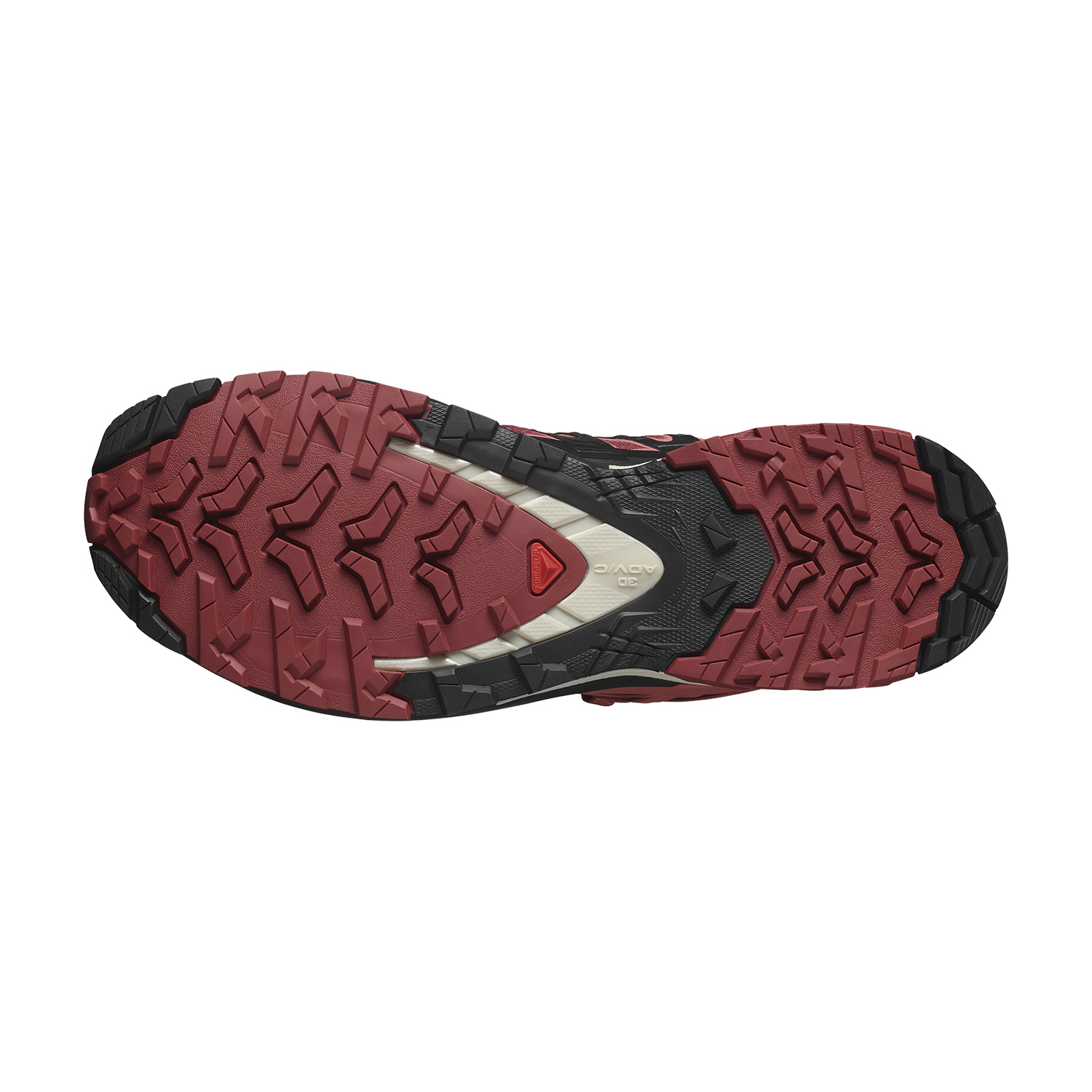 Salomon XA Pro 3D V9 GTX Cow Hide/Black/Faded Rose