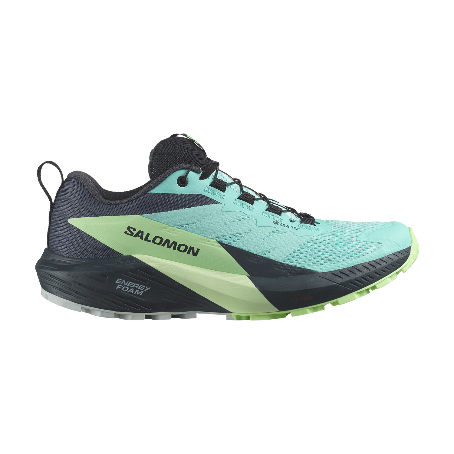 Salomon Sense Ride 5 GTX Blue Radiance/Green Ash/India Ink