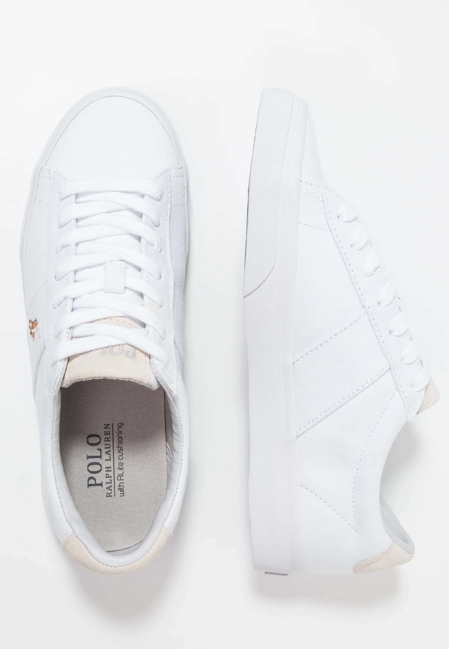 Polo Ralph Lauren SAYER CANVAS SNEAKER - Sneakers basse